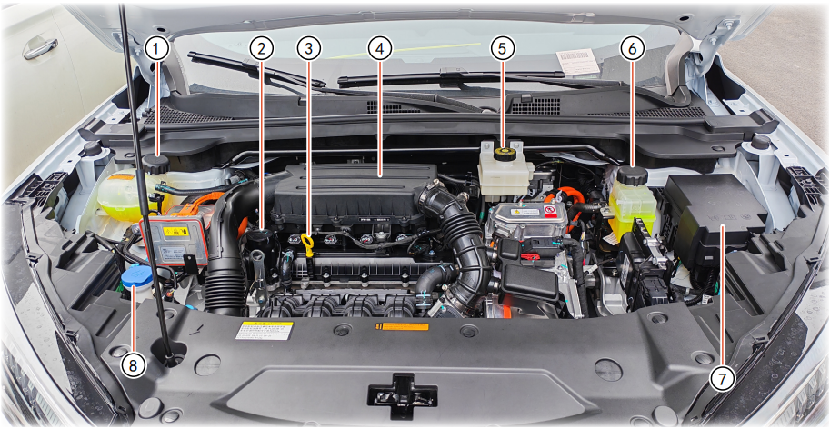 image-20251230114500645